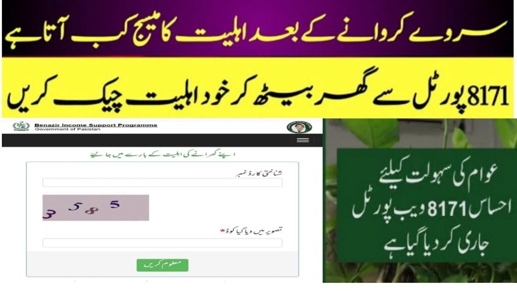 check bisp payment 2025 and bisp eligibility 2025 online