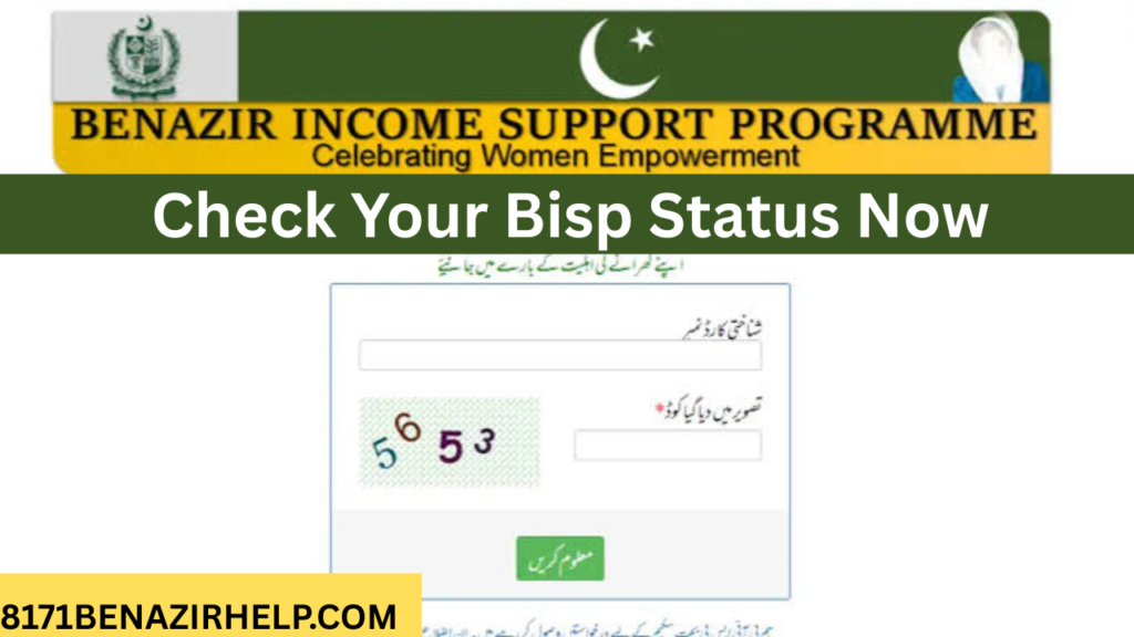 Screenshot of 8171 web portal for bisp status check june 2025